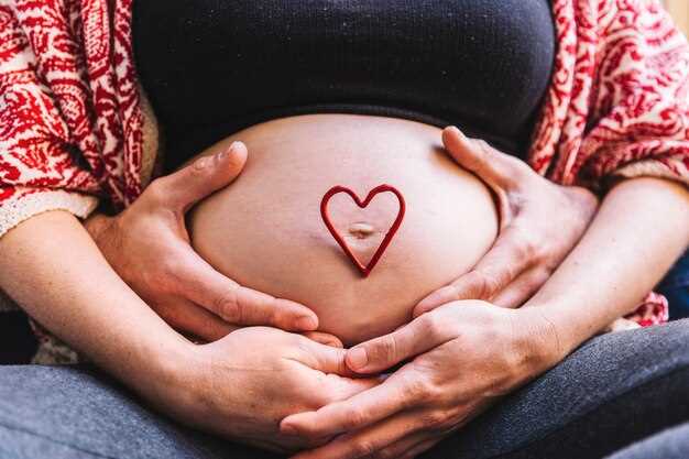 Формирование сердечной системы у эмбриона: ключевые этапы развития